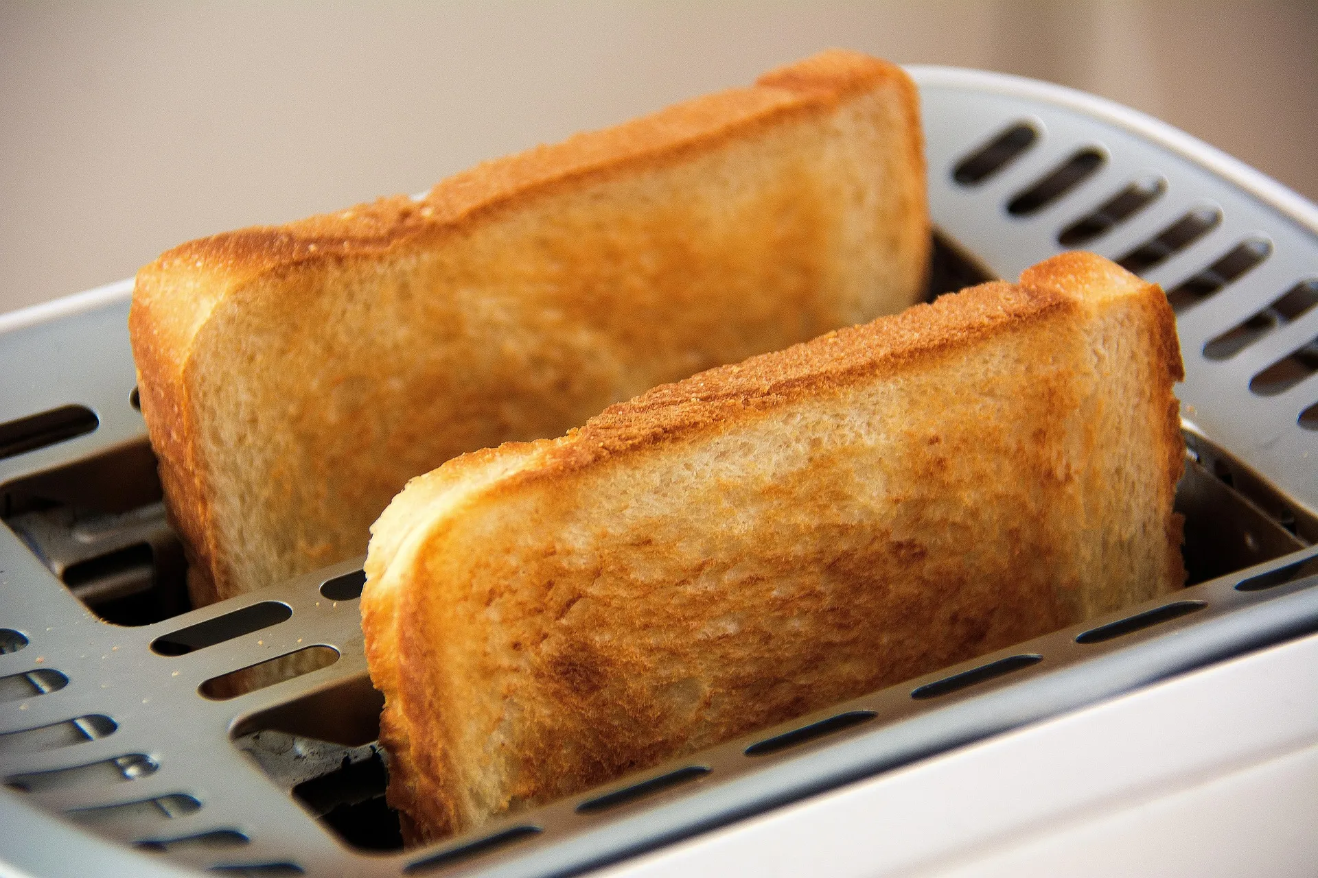 Two slices of toasted bread in a countertop toaster